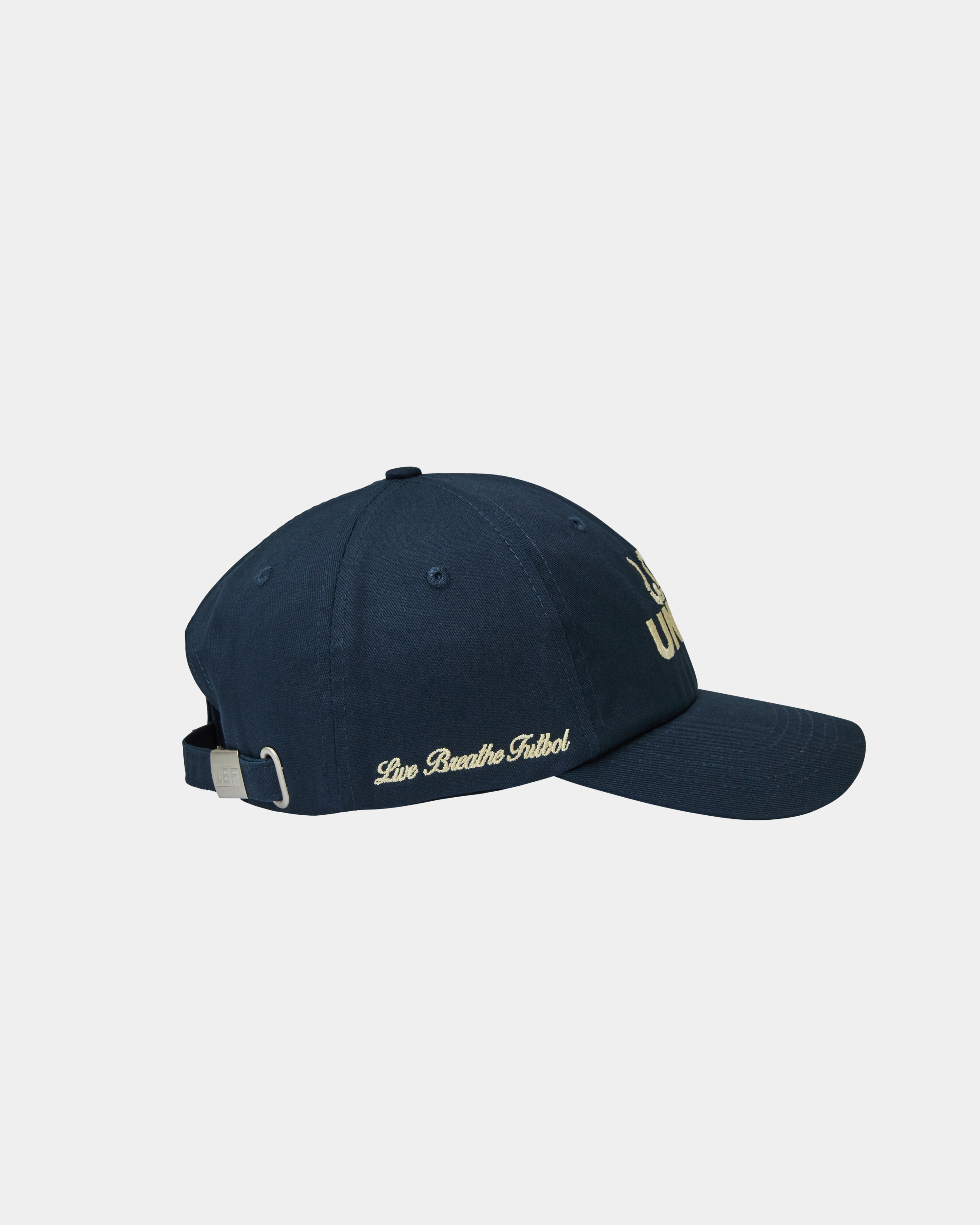 Philadelphia Union Dad Cap